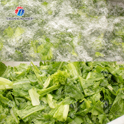 Fruit Orange Leaves Vegetables sward beans  Herbs Fruiting vegetables Wash Washer Washing Cleaning processing production Double cylinder fruit and vegetable washing machine