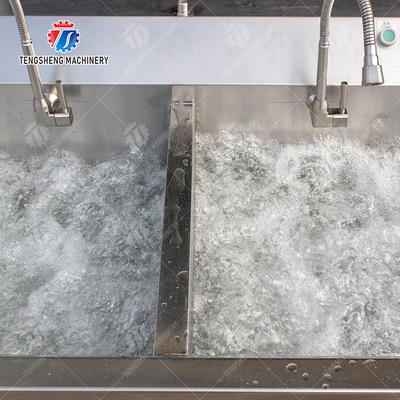 Fruit Orange Leaves Vegetables sward beans  Herbs Fruiting vegetables Wash Washer Washing Cleaning processing production Double cylinder fruit and vegetable washing machine