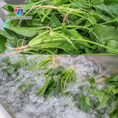 Fruit Orange Leaves Vegetables sward beans  Herbs Fruiting vegetables Wash Washer Washing Cleaning processing production Double cylinder fruit and vegetable washing machine
