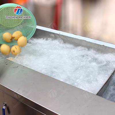 Washing and juicing production line Fruit Orange Leaves Vegetables sward beans soybeans processing production Machine