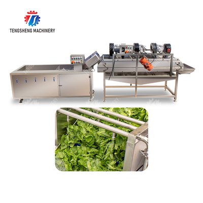 Bubble washing vibration air drying production line Orange Vegetable Herbs Fruit processing production Machine