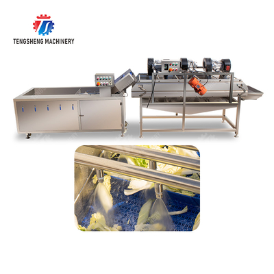 Bubble washing vibration air drying production line Orange Vegetable Herbs Fruit processing production Machine