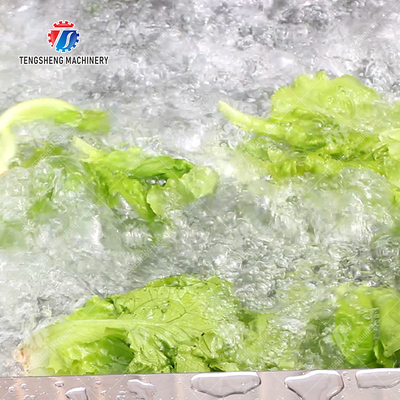 Bubble Vegetable Washing Machine Fruit Orange Vegetable Leaves Vegetables Herbs production Destoning Wash Washer Washing Cleaning