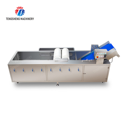 Maximize Your X Output with Our Final Product Fruit And Vegetable Processing Line