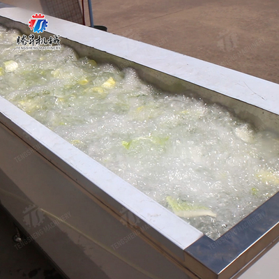 Processing Fruit And Vegetable Processing Line for Design and Production of Silver Products