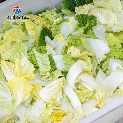 Processing Fruit And Vegetable Processing Line for Design and Production of Silver Products