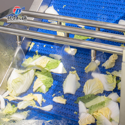 Processing Fruit And Vegetable Processing Line for Design and Production of Silver Products