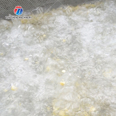 Cleaning processing production Machine Vortex vegetable washing machine red beans  mung beans  green peas beans canning Potato  Potatoes and round tuber crops Carrots and longitudinal root vegeta