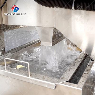 Cleaning processing production Machine Vortex vegetable washing machine red beans  mung beans  green peas beans canning Potato  Potatoes and round tuber crops Carrots and longitudinal root vegeta
