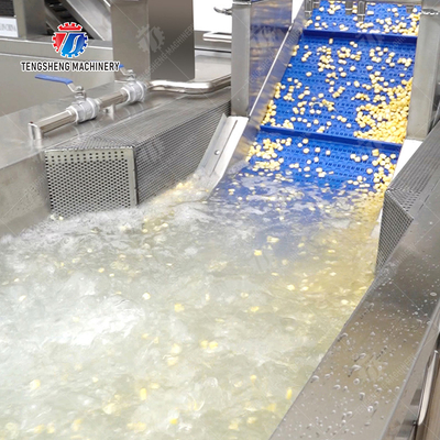 Cleaning processing production Machine Vortex vegetable washing machine red beans  mung beans  green peas beans canning Potato  Potatoes and round tuber crops Carrots and longitudinal root vegeta