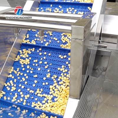 Cleaning processing production Machine Vortex vegetable washing machine red beans  mung beans  green peas beans canning Potato  Potatoes and round tuber crops Carrots and longitudinal root vegeta