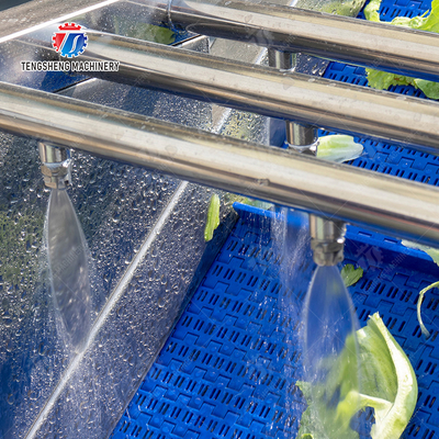 Cleaning processing production Machine Vortex vegetable washing machine red beans  mung beans  green peas beans canning Potato  Potatoes and round tuber crops Carrots and longitudinal root vegeta