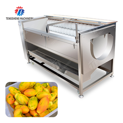 Large scale brush Washing cleaning and peeling machine Ginger Potato Carrot Taro Sweet potato Yam Saiko persimmon papaya horseshoe macadamia nut