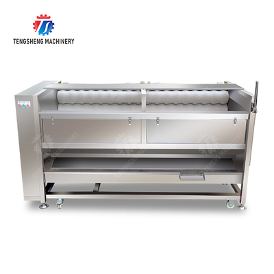 Large scale brush Washing cleaning and peeling machine Ginger Potato Carrot Taro Sweet potato Yam Saiko persimmon papaya horseshoe macadamia nut