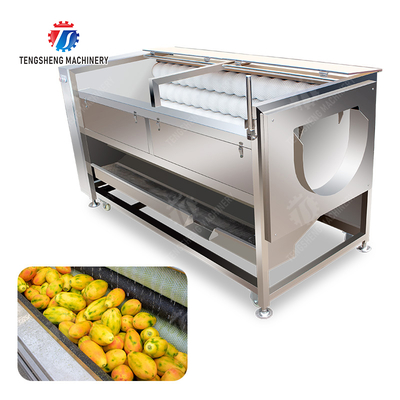 Large scale brush Washing cleaning and peeling machine Ginger Potato Carrot Taro Sweet potato Yam Saiko persimmon papaya horseshoe macadamia nut