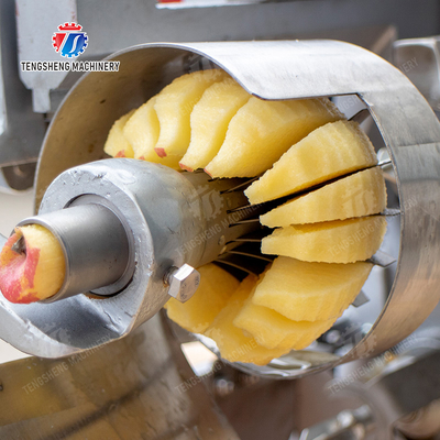 X Final Product Silver Fruit And Vegetable Processing Line for Customizable Processing