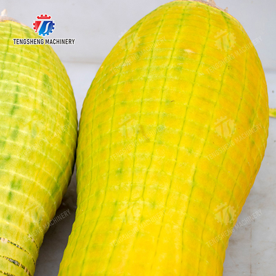 Melon and fruit double head with single cutter peeling machine pineapple Peeling papaya chieh qua pumpkin wax gourd Taro
