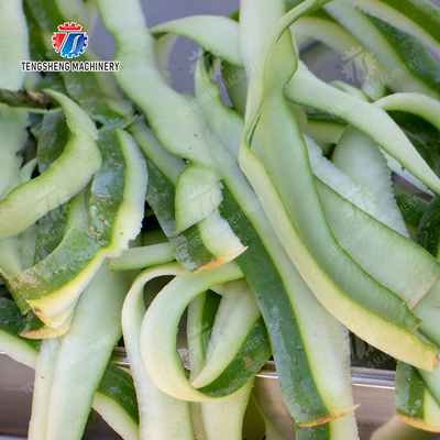 papaya chieh-qua pumpkin wax gourd pineapple Vegetable Vertical double cutter peeling machine processing production