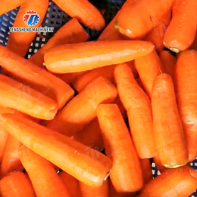 Corrat peeling machine Carrot processing production Destoning Supplying Peeling & polishing