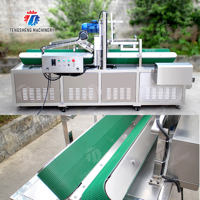 Large winter melon peeling machine papaya chieh-qua pumpkin wax gourd pineapple watermelon Hami Melon processing production Peeling & polishing