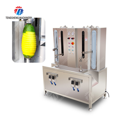 Technology Fruit And Vegetable Processing Line for Silver Processing