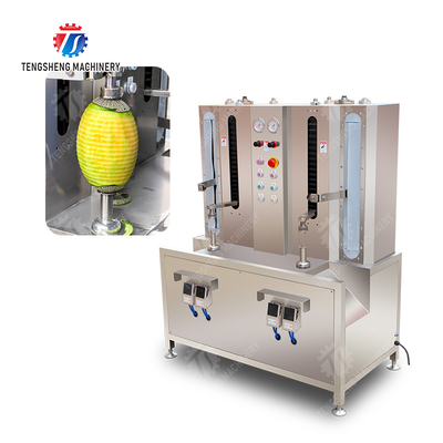 Technology Fruit And Vegetable Processing Line for Silver Processing