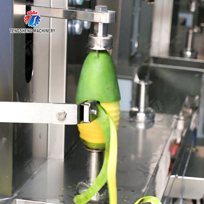 Technology Fruit And Vegetable Processing Line for Silver Processing