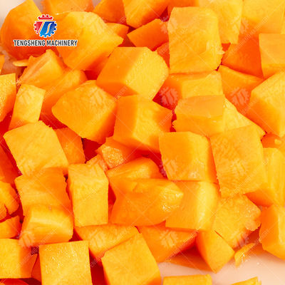 300KG/H Electric Vegetable Processing Machine Multi - Functional Fruit Cutting