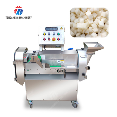 2025 Fruit And Vegetable Processing Line Perfect for Large-Scale Production