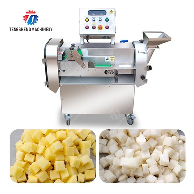 2025 Fruit And Vegetable Processing Line Perfect for Large-Scale Production