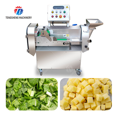 2025 Fruit And Vegetable Processing Line Perfect for Large-Scale Production