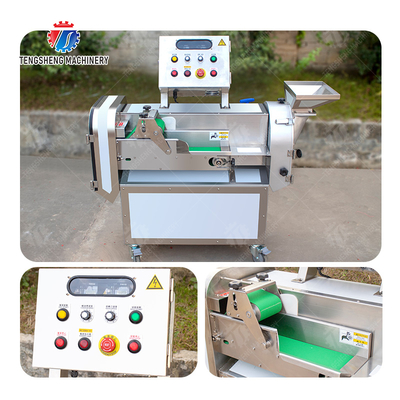2025 Fruit And Vegetable Processing Line Perfect for Large-Scale Production