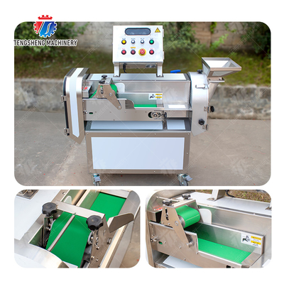 2025 Fruit And Vegetable Processing Line Perfect for Large-Scale Production