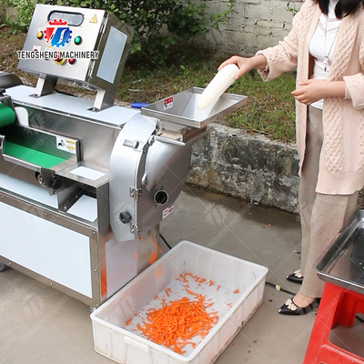 2025 Fruit And Vegetable Processing Line Perfect for Large-Scale Production