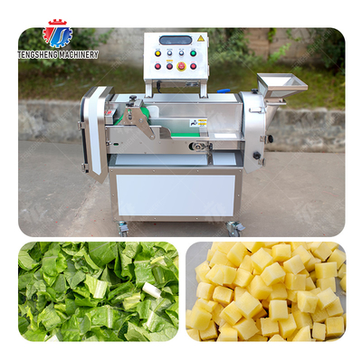 2025 Fruit And Vegetable Processing Line Perfect for Large-Scale Production