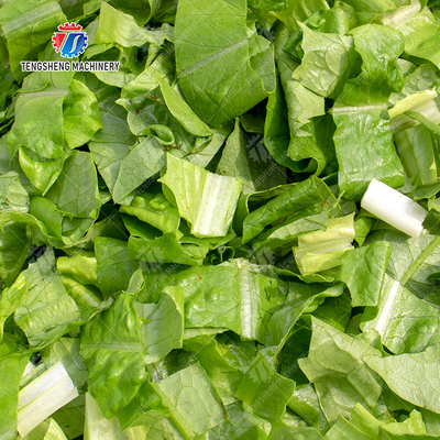 2025 Fruit And Vegetable Processing Line Perfect for Large-Scale Production