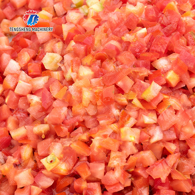 2025 Fruit And Vegetable Processing Line Perfect for Large-Scale Production