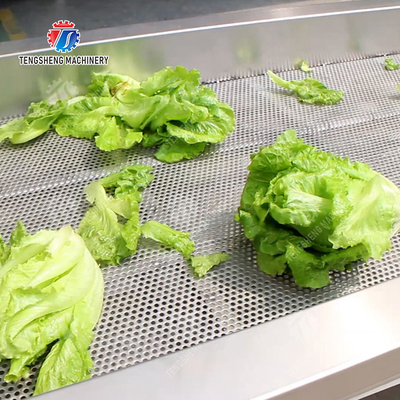 X Final Product Fruit And Vegetable Processing Line With Design For 2025