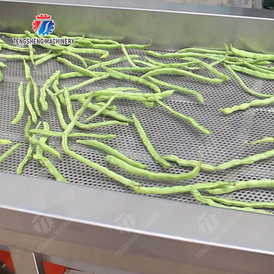 X Final Product Fruit And Vegetable Processing Line With Design For 2025