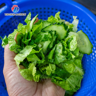 Leafy vegetables Cabbage varieties Greens Lettuce Cao Xin Baby Cabbage Chinese Cabbage Cabbage kale Salad Fruits and vegetables dehydrator Industrial Commercial  Food Dehydrator Dewatering Machine