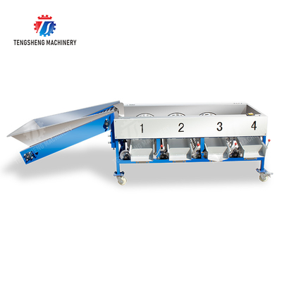 Tangerine passion fruit avocado cherry Mango pear banana mangosteen kiwi fruit Inspecting Grading Transporting processing production Fruit and vegetable sorting machine