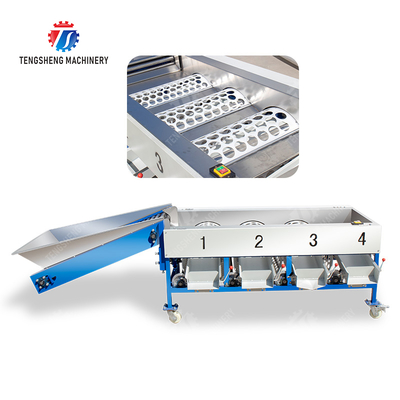 Tangerine passion fruit avocado cherry Mango pear banana mangosteen kiwi fruit Inspecting Grading Transporting processing production Fruit and vegetable sorting machine