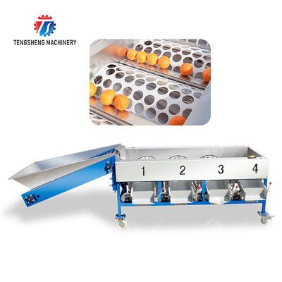 Tangerine passion fruit avocado cherry Mango pear banana mangosteen kiwi fruit Inspecting Grading Transporting processing production Fruit and vegetable sorting machine