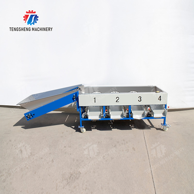 Tangerine passion fruit avocado cherry Mango pear banana mangosteen kiwi fruit Inspecting Grading Transporting processing production Fruit and vegetable sorting machine