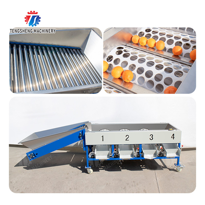 Tangerine passion fruit avocado cherry Mango pear banana mangosteen kiwi fruit Inspecting Grading Transporting processing production Fruit and vegetable sorting machine