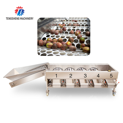 Fruit Orange Vegetable Saiko persimmon lemon tangerine passion fruit avocado cherry Mango pear mangosteen kiwi fruit processing production Inspecting Grading sorting machine