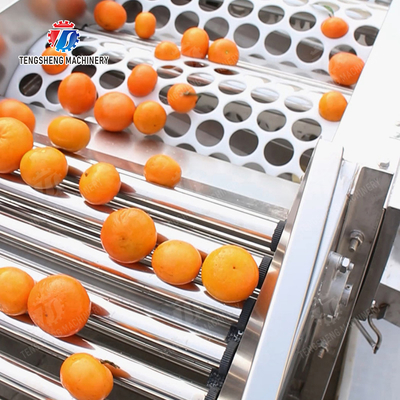 Fruit Orange Vegetable Saiko persimmon lemon tangerine passion fruit avocado cherry Mango pear mangosteen kiwi fruit processing production Inspecting Grading sorting machine