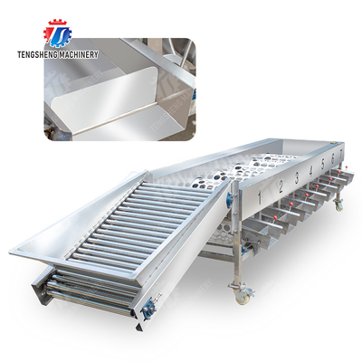 Processing Production Inspecting Grading Fruit Vegetable Onions Saiko persimmon Apple Potato tangerine passion fruit avocado cherry Mango pear banana mangosteen kiwi fruit Fruit Sorting Machine