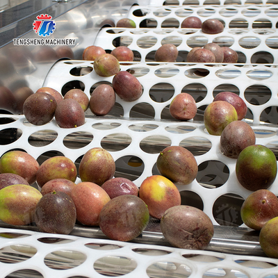 Processing Production Inspecting Grading Fruit Vegetable Onions Saiko persimmon Apple Potato tangerine passion fruit avocado cherry Mango pear banana mangosteen kiwi fruit Fruit Sorting Machine