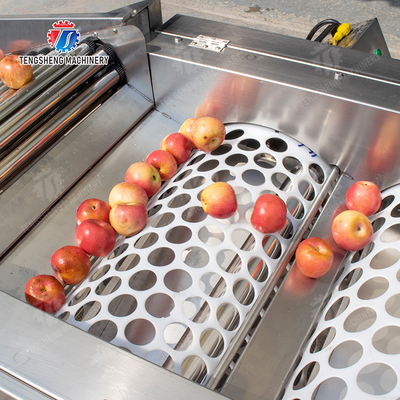 Processing Production Inspecting Grading Fruit Vegetable Onions Saiko persimmon Apple Potato tangerine passion fruit avocado cherry Mango pear banana mangosteen kiwi fruit Fruit Sorting Machine